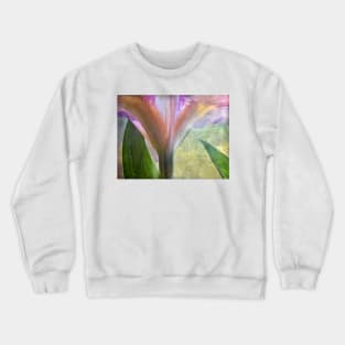 The Light Above Crewneck Sweatshirt